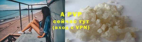 шишки Карпинск