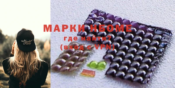 шишки Карпинск