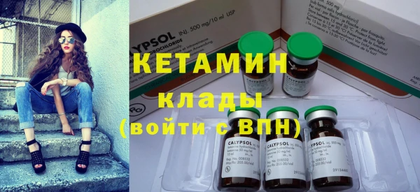 шишки Карпинск