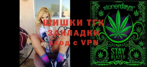 шишки Карпинск