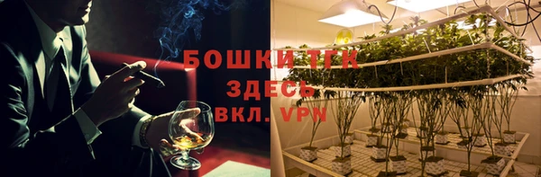 шишки Карпинск